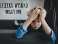 Chłopiec z rękami na głowie, wyrażający smutek. Tekst "Dziecko wysoko wrażliwe" sugeruje, że to objawy dziecka wysoko wrażliwego.
