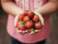 Dłonie trzymające garść soczystych truskawek, które są jednymi z najmniej kalorycznych owoców.