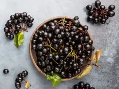 Aronia w misce i na gałązkach. Czy aronia jest trująca? Nie, te ciemne owoce są zdrowe i pełne witamin.