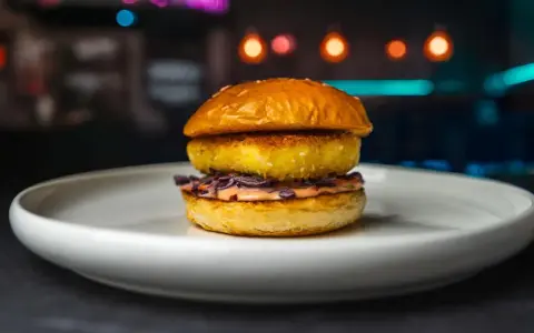 Apetyczny burger z halloumi, z chrupiącą panierką i kolorową surówką, na białym talerzu.