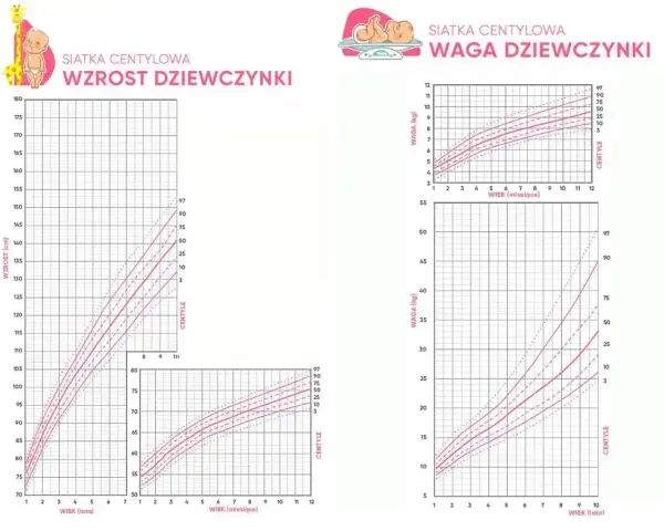 Wykresy centylowe dla dziewczynek: wzrost i waga. Pokazują normy rozwoju, np. waga 3 latka.